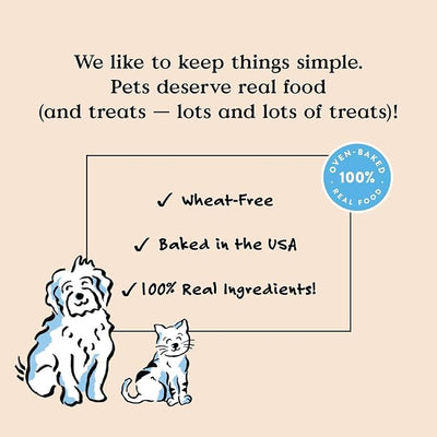 Bocce's Bakery Dental Brushy Sticks for Medium Dogs – Natural, Wheat-Free Dental Bars to Support Oral Health & Fresh Breath, Made with Real Ingredients – Coconut & Mint Recipe (2 Pack Bundle)