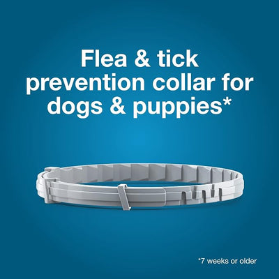 Seresto Flea & Tick Collar for Dogs Over 18 lbs., Treatment & Prevention, Vet-Recommend, 8 Month Protection (Pack of 2)