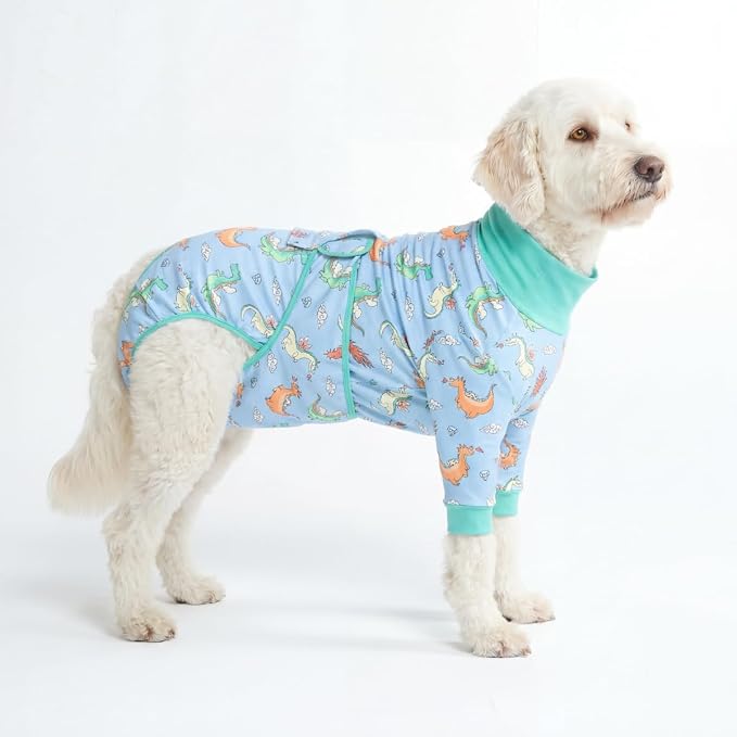 Spark Paws Dog Surgery Recovery Suit – Dog Recovery Suit After Surgery, Anti-Lick Dog Onesie, Abdominal Wound Protector, Soft Cone Alternative for Spay Neuter Male Female Pet Recovery - Dragons - 2XL