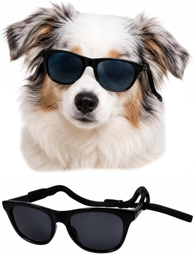 G006 Dog Pet Retro 80s Costume Sunglasses for Small Breed (2-Pack Black+ Matte Black)
