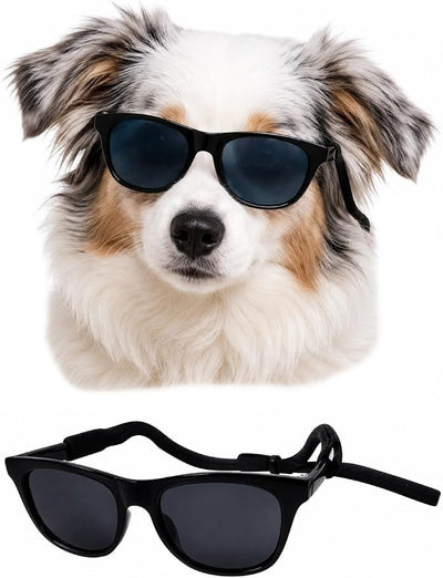 G006 Dog Pet Retro 80s Costume Sunglasses for Small Breed (Black)