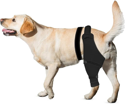 Dog Rear Leg Sleeve to Stop Licking, Hind Leg Protector After TPLO Recovery, ACL Surgery, Wounds or Skin Issues, Soft Breathable Comfortable Cover for Large Medium Small Dogs, XS,Right, Matte Black