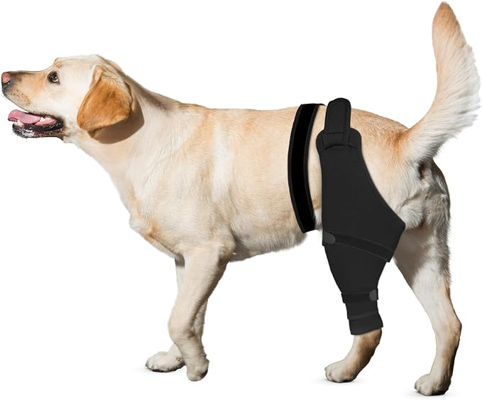 Dog Rear Leg Sleeve to Stop Licking, Hind Leg Protector After TPLO Recovery, ACL Surgery, Wounds or Skin Issues, Soft Breathable Comfortable Cover for Large Medium Small Dogs, 2XL,Left, Matte Black
