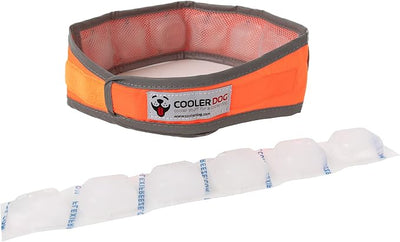 CoolerDog Hi-Vis Cooling Dog Collar for Large Dogs – Reflective Re-Freezable Ice Collar for Hot Weather & Heat Relief (Orange, Large)