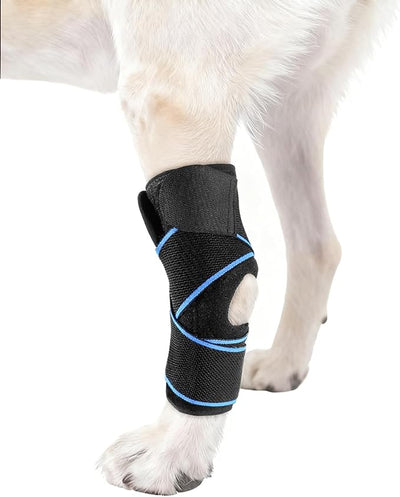 Dog Knee Brace for Back Leg Support, Hock Joint Compression Wrap ACL Brace for Hind Legs – Stabilizing Rear Leg Support for Senior & Overweight Dogs, Ideal for Medium & Large Breeds (M)
