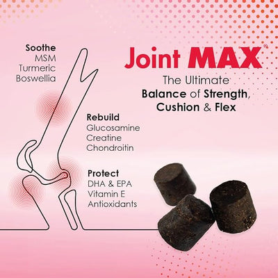 TS Joint Supplement Vet Formulated Pain & Inflammation Relief Treats Hip Dysplasia & Arthritis, Glucosamine, Chondroitin, Turmeric, MSM, HA, Creatine, Omega 3 EPA + DHA.120 Soft Chews
