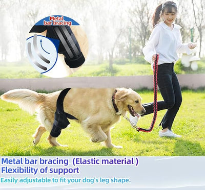 L Dog Leg Braces for Back Leg for Support with Cruciate Ligament Injury-Better Recovery with Dog Knee Brace for Torn Acl Hind Leg-Adjustable Hip Dysplasia Dog Acl Brace Hind Leg Rear