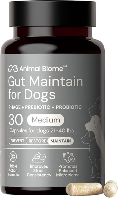 Animal Biome Probiotics for Dogs with S Boulardii, Gut Maintain (30 Capsules) – Triple-Action Medium Dog Probiotics, Prebiotics & Phage Supplements for Gut Health, Firmer Stool & Diarrhea Support