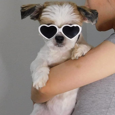G016-1 Dog Pet Heart Costume Sunglasses for Small to Medium Breed (Up to 15 lbs, Heart White)