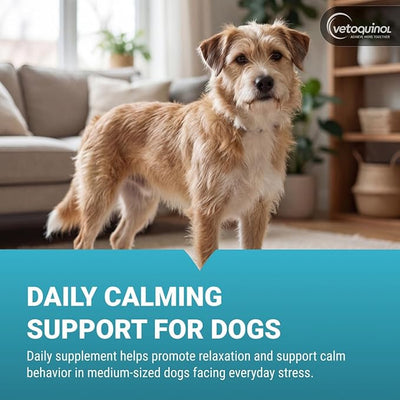 Vetoquinol Zylkene - Calming Oral Support for Medium Dogs & Large Cats - Supports Behavior & Occasional Anxiety - for Boarding, Vet Visits & Celebrations - Non-Drowsy & Lactose-Free - 30 Capsules