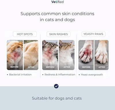 Chlorexhidine Spray for Dogs | Veterinary Strength Anti Itch for Dogs for Hot Spots, Rashes & Itchy Paws 8 fl oz (+ 30 Day Vet Access) | NDC 86247-002-08