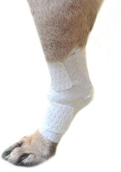 Pawflex Bandages Universal Joint Bandages for Pets (Pack of 4) Large