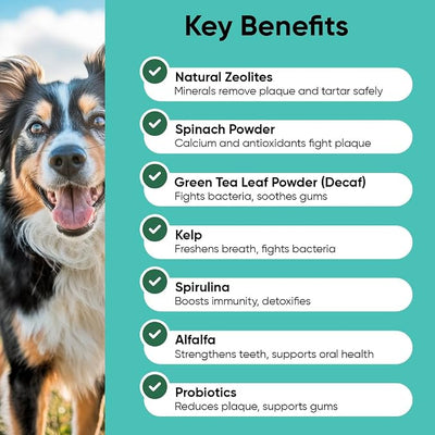 iHeartDogs Clean Teeth & Fresh Breath Dental Powder for Dogs - Targets Tartar & Bad Breath - Natural Herbal Blend with Kelp, Probiotics - Mint, 90 Servings