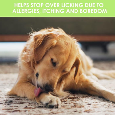 Kenic Anti-Chew Bitter Spray Deterrent for Dogs & Cats, Anti-Lick, No-Chew Training Aid, Safe for use on Furniture, Paws & Shoes & More, Made in USA