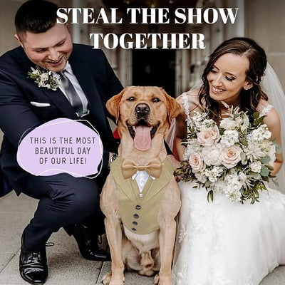 AVERYDAY Dog Tuxedo for Wedding Outfit, Dog Suit and Tie Costumes for Birthday, Halloween, Cosplay, Christmas Party, Pet Formal Wear with Bowtie, Tux for Medium Large Dogs, Bulldog, Labrador, Husky
