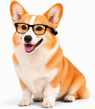 G006 Dog Pet Retro 80s Costume Sunglasses for Small Breed (2-Pack Black+ Black-Clear Lens)