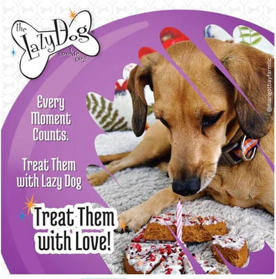 The Lazy Dog Cookie Co. Ultimate Birthday Celebration Kit for Dogs. Includes Special Day Pie, Bag of Birthday Cake Bites, Make at Home Ice Cream and Can of the Newly Released Pup-Pop