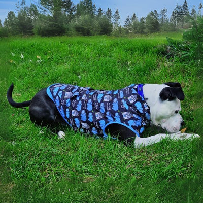 Pittie Clothing Pit Bull Muscle Tee for Dog Breed Dog Shirts Pet Printed Clothes Cool Funny