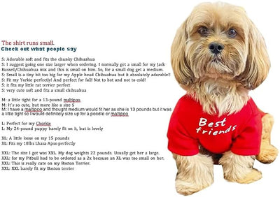 Cute Dog Clothes, T Shirt for Medium and Small Dogs Girl Boy,Puppy.Breathable Soft Dog Costume for Pet Dogs Cats, Pet Pullover Jumper, Cat Clothes (L-(10~17lb), Chest~18", Aqua)