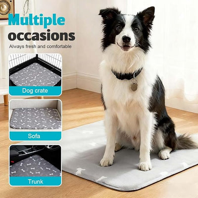 Puppy Pads for Dogs, 2026 New Washable Puppy Pads with Pheromones, Pee Pads for Dogs & Cats, Durable Leak-Proof & Anti-Slip Pet Training Pads for Home & Travel, Reusable (White, 27.6" x 31.5")