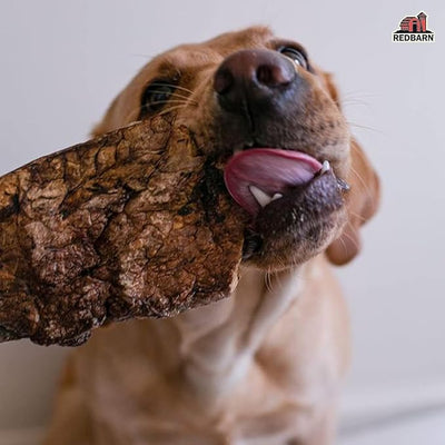 Redbarn Pet Products Natural Choppers Beef Lung Chew Treats for Dogs - Premium Made in USA Rawhide-Free Single Ingredient High Protein Low Fat - 9 oz Bag (Pack of 2)