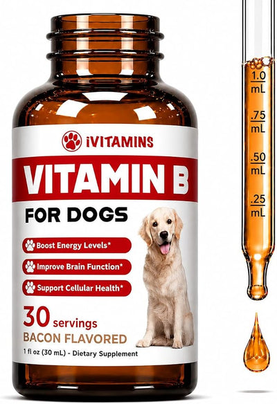 Vitamin B for Dogs - Vitamin B Complex for Dogs - Supports Healthy Energy, Appetite, Eyesight & Much More - Dog Vitamins - B Complex for Dogs - 1 fl oz - Bacon Flavor