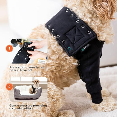 Suitical Recovery Sleeve Dog, Medium, Black