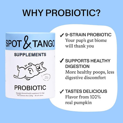 Spot & Tango Probiotics Supplements for Dogs - Vet-Approved for Healthy Digestion and Balanced Gut - Pumpkin, Turmeric, Chicory Root, Black Pepper, Nine-Strain Probiotic Blend, 56 Count