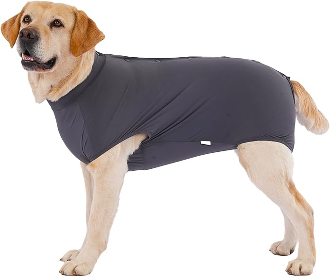 LovinPet Dog Recovery Suit, Snap-Back Post-Op Onesie for Large Dogs, Post-Spay Bodysuit for Female Dogs with Cushioned Belly Panel, Grey, XL