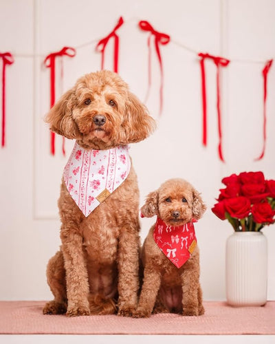 Remy+Roo Dog Bandanas - 2 Pack | Be Mine Valentine's Day Dog Bandanas Set | Premium Durable Fabric | Patented Shape Bandanas for Dogs (Be Mine, Large)
