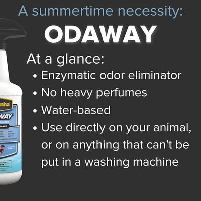 Pyranha Odaway Ready-to-Use Odor Eliminator Spray – Broad Spectrum Scent Neutralizer for Home, Kennel, Car, Bathroom & Gear, Concentrate Gallon