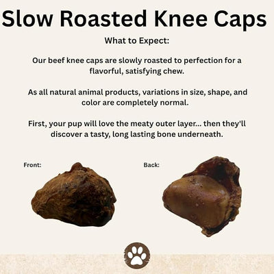 Top Dog Chews – Knee Caps, 10 Count, Dog Beef Chew Bones, Long Lasting Treats for Aggressive Chewers, Perfect for Large Medium, or Small Dogs, Made in USA
