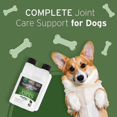 Hyalogic HyaFlex PRO – Hyaluronic Acid Joint Supplement for Dogs – Glucosamine & MSM Hip & Joint Support – for Dog Joints – 30-60 Day Supply - 240ml