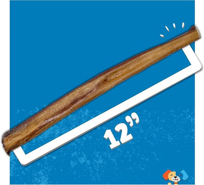 Jack&Pup 12 Inch Bully Sticks for Large Dogs | Jumbo Odor Free Bully Sticks Long Lasting | All Natural, 100% Beef Sticks (Jumbo, 1 Pack)