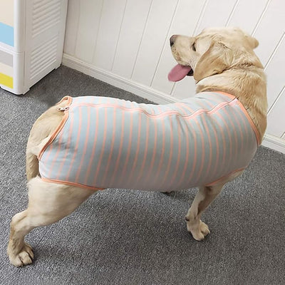 Dog’s Recovery Suit Post Surgery Shirt for Female Male Dog, E-Collar Alternative Wound Protective Clothes (Grey orange-4xl)