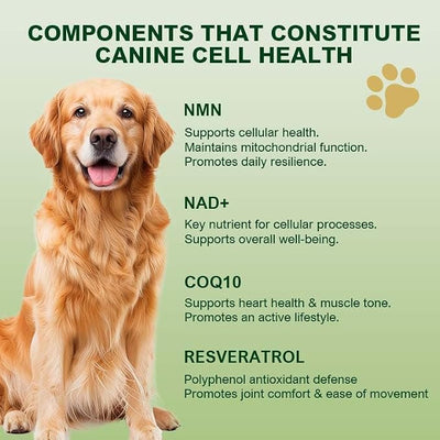 NMN Supplement for Dogs NAD+ Booster - Anti-Aging & Longevity Soft Chews for Senior Dogs with Resveratrol, CoQ10, Glucosamine & Omega-3-3-in-1 Cellular Energy, Joint & Skin Support