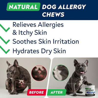 StrellaLab Dog Allergy Relief & Anti Itch Support Chews w/Omega 3: Real Ingredients, Real Taste! Skin & Coat Immune w/Fish Oil, Pumpkin & Enzymes — Developed by Experts - Made in USA - 60Ct