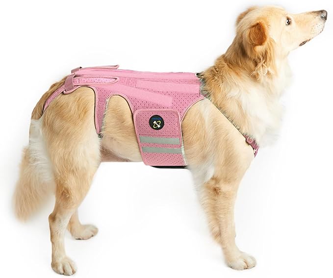 Coodeo Dog Back Brace for Dogs Arthritis, Pet Back Bracer for IVDD, Back Protector Helps Pain Relief, Surgical Recovery and Rehabilitation, Dogs Back Disease Prevention. (Pink,X-Large)