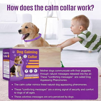 Calming Collar for Dogs, 6 Packs Dog Pheromone Calm Collars to Relieve Anxiety Bad Behavior, Long Lasting Pheromone for 60 Days, 25 Inches Adjustable for Small Medium and Large Dog (Pruple)