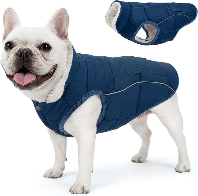 SlowTon Dog Coat - Warm Dog Winter Coat Waterproof, Reflective Winter Jacket with Pocket, Puppy Fleece Vest Pet Apparel Cold Weather Clothes for Small Medium Large Dogs Boy Girl (Navy M)