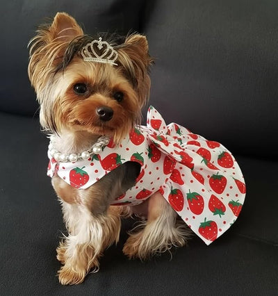 Dog Dress Bowknot Harness Leash Set for Small Dogs Red Strawberry Dog Cat Clothes Cute Puppy Outfits Pet Clothes Spring Summer Breathable Dresses(X-Samll)