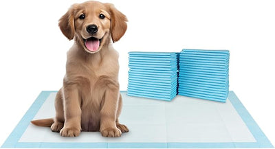 BV XXL Puppy Pads 40 Count 36" x 30" - Leak-Proof Pee Pads for Dogs with 6-Layer Design, Rapid Dry Sheet & Attractant - Dog Pad Extra Large with Odor Control - Perfect for Big Dogs & Indoor Use