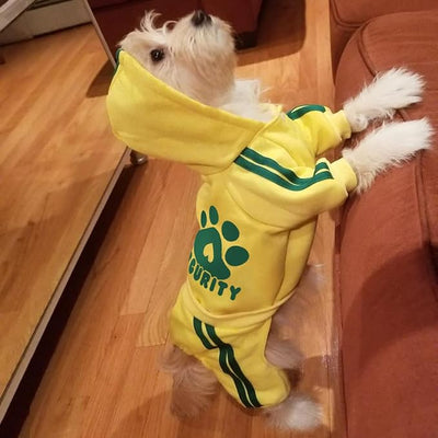 Dog Hoodie 4 Legs Jumpsuit, Yellow, XX-Small | Security Clothes, Soft & Warm, Pullover, Winter Clothes