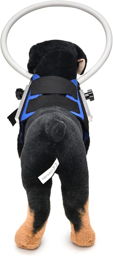 GabeFish Ring Harness for Blind Dog, Lightweight Blind Ring for Pets, Blind Dog Bumper, Bump Guard for Blind Dogs Blue Small