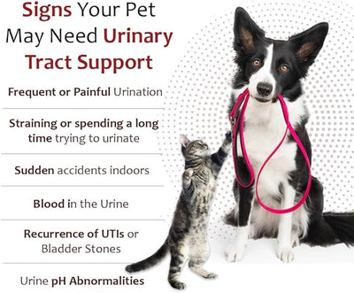 K-Plus Potassium Gluconate Renal Gel Plus Cranberry and EPA for Dogs and Cats - Veterinarian Approved Renal Supplement - Supports Potassium Balance -(3 Pack)