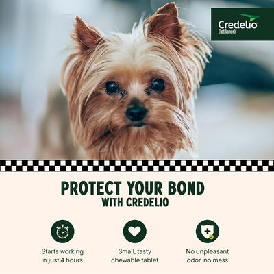 Credelio (lotilaner) Tick & Flea Treatment + Flea Infestation Protection for Dogs 4.4-6.0 lbs. (6 Tablets)