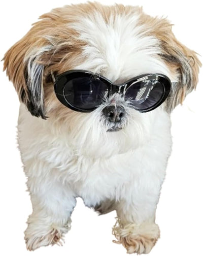 G009 Dog Pet Costume Prop Oval Sunglasses Small to Medium Breeds 15-25lbs Black