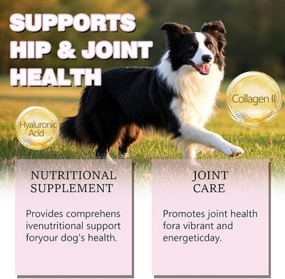 Liquid Collagen for Dogs, Dog Collagen Drops Supplement with Type I, II, III Collagen, Hyaluronic Acid, Glucosamine Hydrochloride Supports for Skin & Coat, Hips & Joints Healthy Collagen, 120ML/4FL.OZ