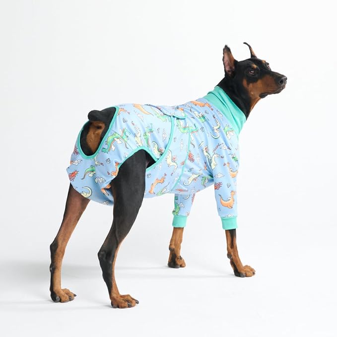 Spark Paws Dog Surgery Recovery Suit – Dog Recovery Suit After Surgery, Anti-Lick Dog Onesie, Abdominal Wound Protector, Soft Cone Alternative for Spay Neuter Male Female Pet Recovery - Dragons - 3XL