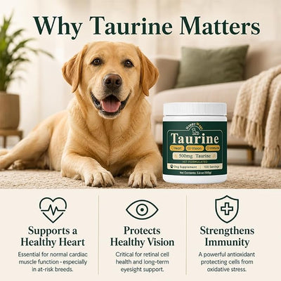 HappyWags Taurine Powder for Dogs, Taurine Supplement Support Vision, Heart & Immune, 100 Grams (1)
